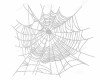 Animated SPIDER WEB