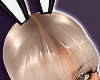 Black Bunny Ear