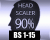 Head Scaler 90% M+F