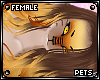[PETS] Tigger | hair v2