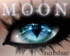 *n* moon blue light cat
