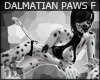 +KM+ Dalmatian Paws F