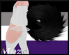 Raven Husky Tail