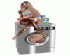Washingmachine Animated