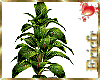 [Efr] Tropical Tree
