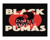 Black Pumas Part 1