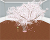 Romantic Cherry tree/pos