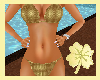 *rm* Golden Bikini