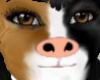 cute Anyskin cow nose
