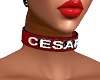 Collar Cesar