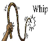 Animated Whip w/actions