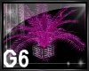 G6|Sexy Club Plant