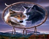 Beauitful Wolves