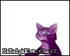 Kitten Purple ^^ Act+Snd