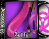 [I] Kahidrya Cat Tail