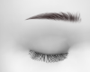 Fierce Brows | deepbrown