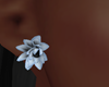 Dp Flower Earrings