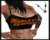 Harley Haltere.