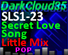 Secret Love Song [Little