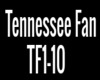Tennessee Fan