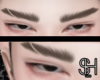 SH - Asian Male Brows V2