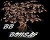 [lNtl] BB-Bonsai tree