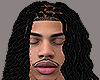 EBK Half Locs