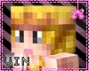 ~VM~Zelda Minecraft Furn