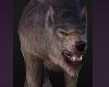 Fierce Werewolfs DOGS Halloween COstumes Rideable Evil MOnsters