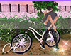 {A}SG Bike Kiss
