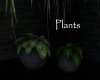 AV Plants