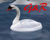G&R Swan Boat
