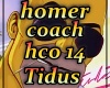 parodie homer