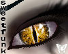 Gold Demon Eyes