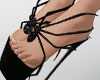 ✦Aranha✦