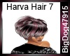 [BD] Harva Hair 7