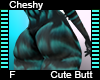 Cheshy Cute Butt F