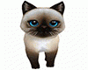 Kity
