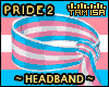 ! Pride Headband #2