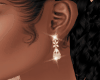 Gold Earrings (diamond)