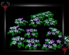 -N- Purple Void Flowers