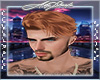 AS* Asteri Ginger