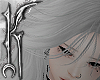 ♱ solstice ♱