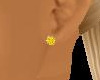~CA~YellowTopaz Earrings