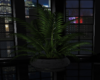 *AR* Potted Plant