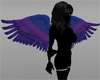 Blue-violet wings