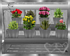 Flora Flowerpot Shelf