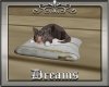 ! Hearbeat Sleeping Kitt