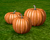 3 Halloween Pumpkins