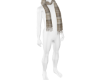 Fall20 Scarf |brown